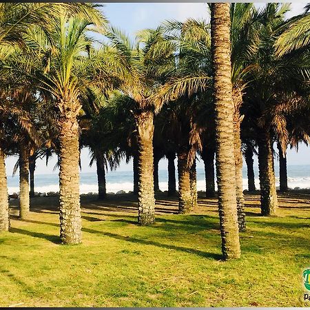 Palmeras Del Golf - Torrequebrada Бенальмадена Номер фото